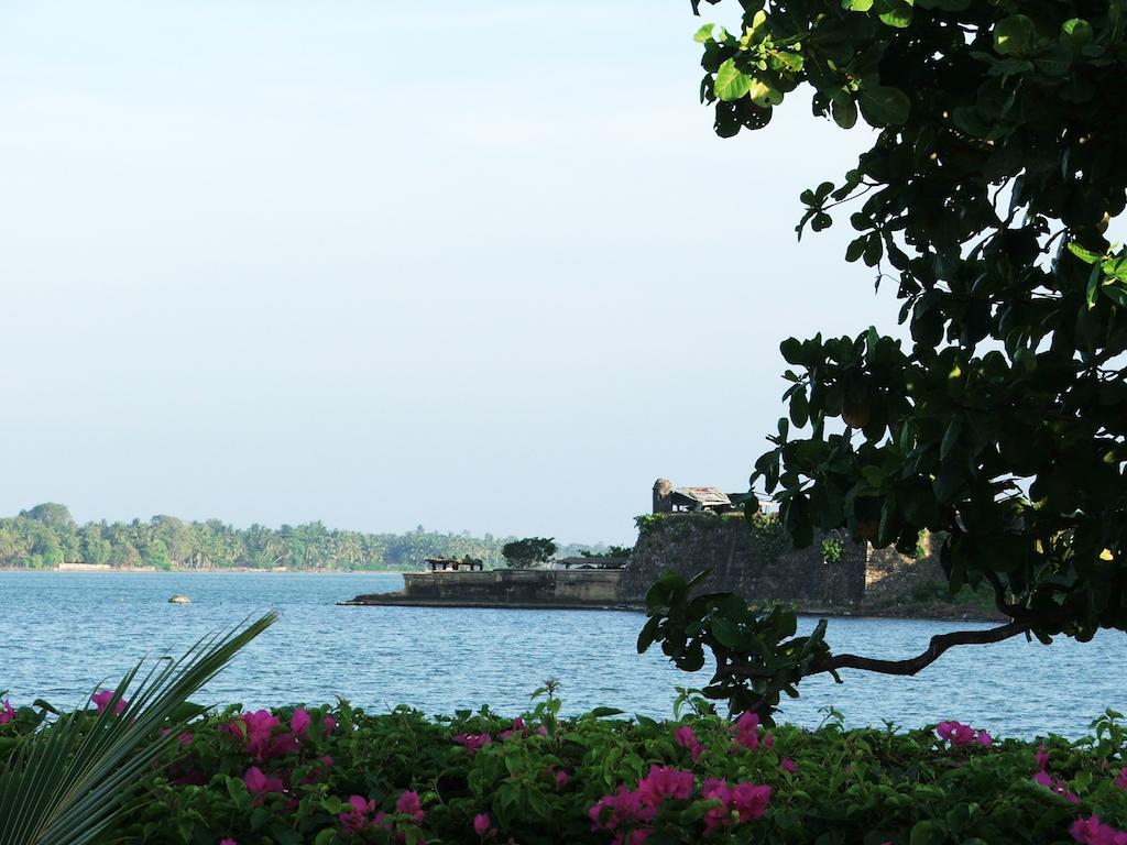 15lmd In Front Of The Lagoon Batticaloa